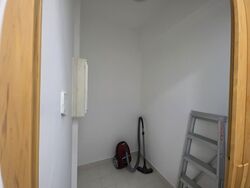 Tanglin View (D3), Condominium #566811081